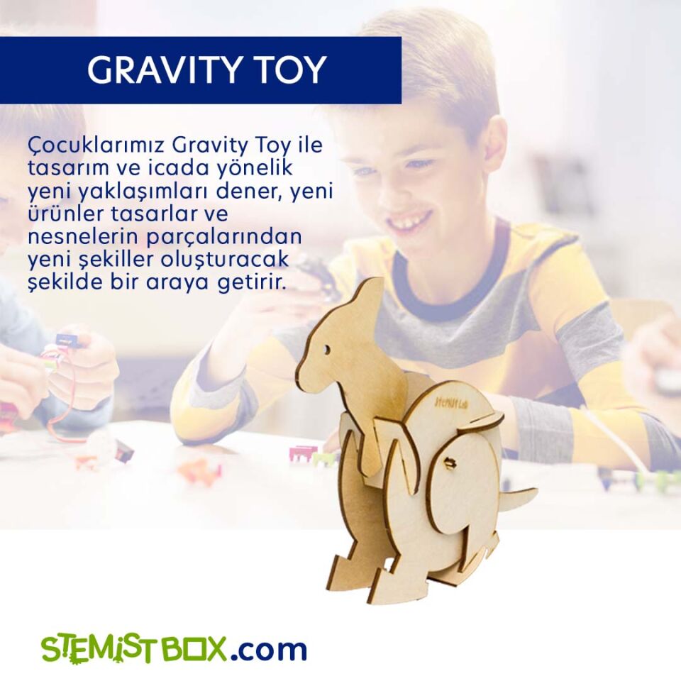 Gravity Toy